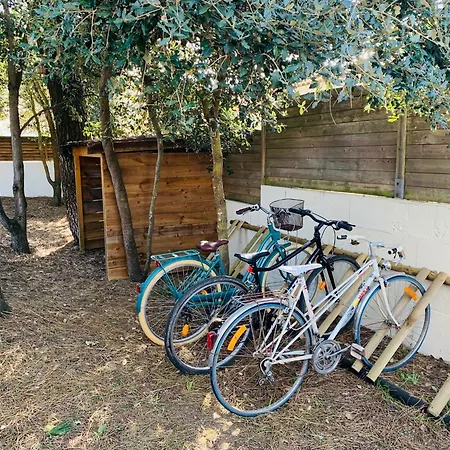 Hébergement de vacances Maison 12 Pers, Le Phare - 300 Mètres Des Plages *